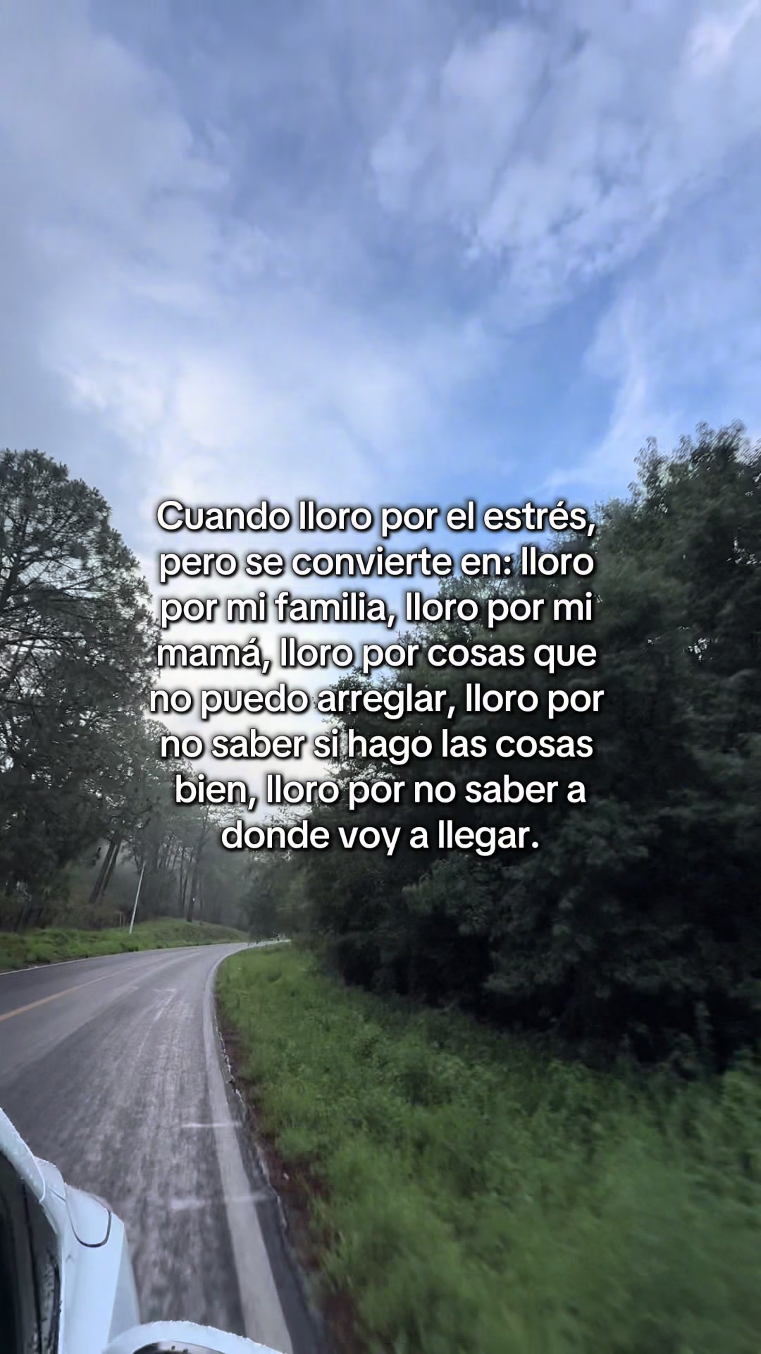 @ilseecr
