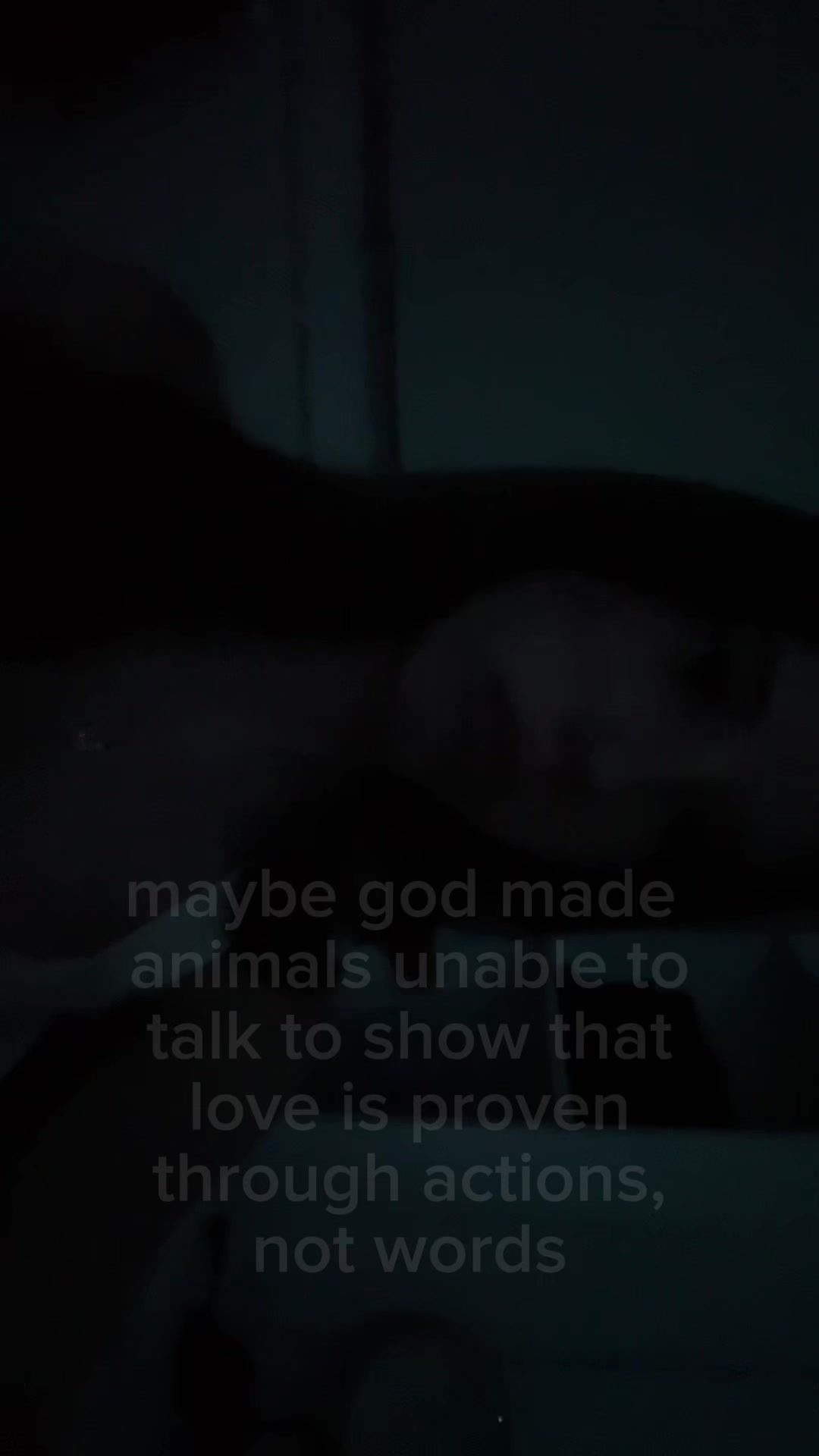 @zs.x07
