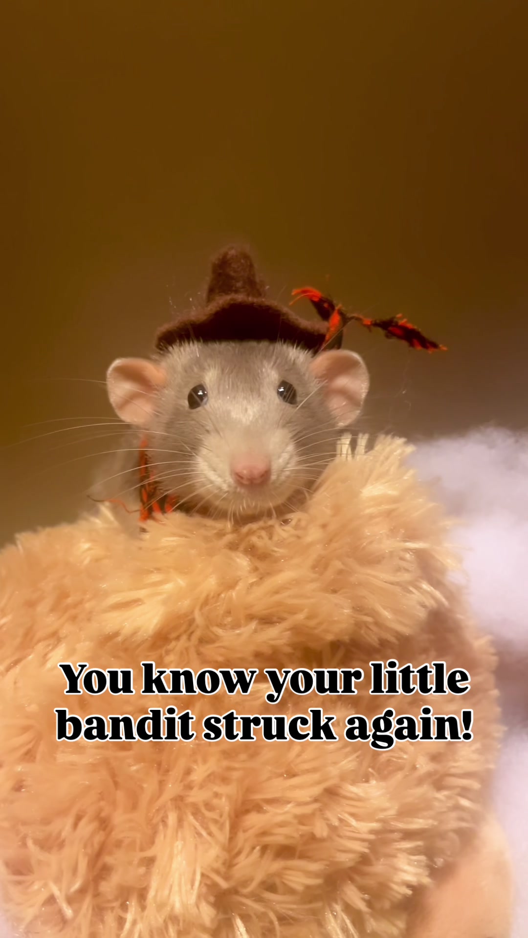 @RatsHaveFeelingsToo