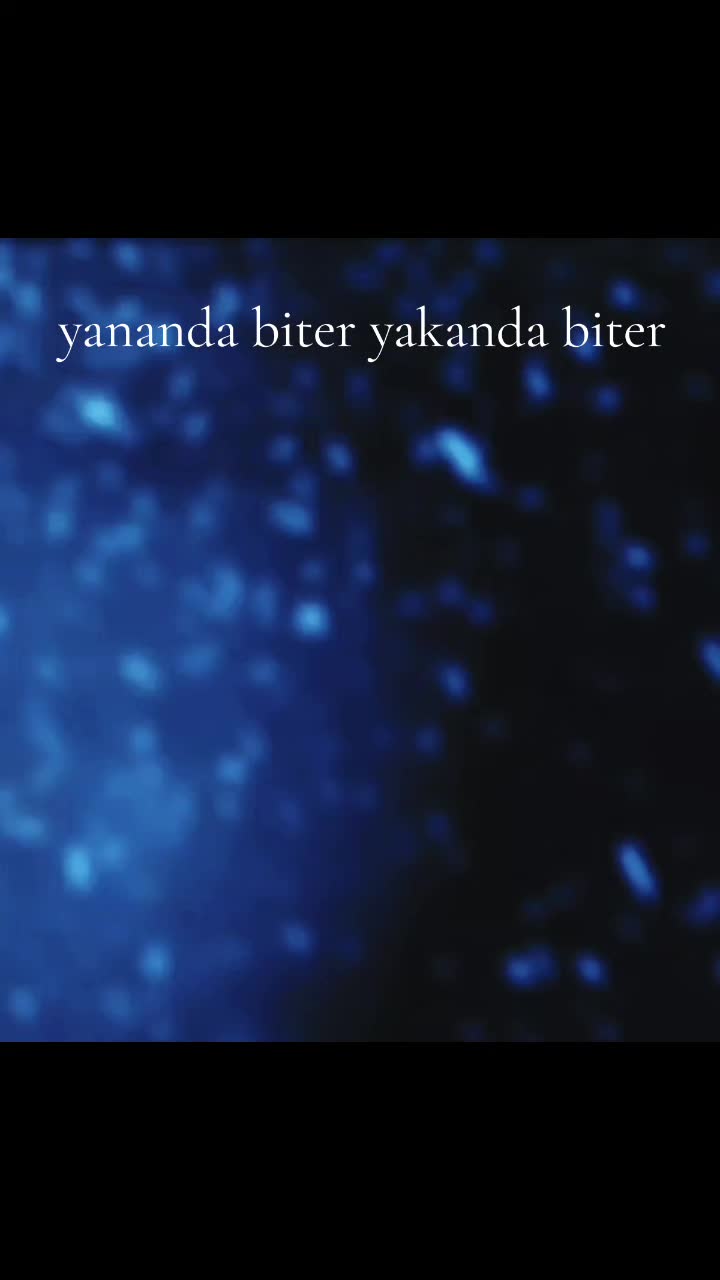 @kalptenkalbedua