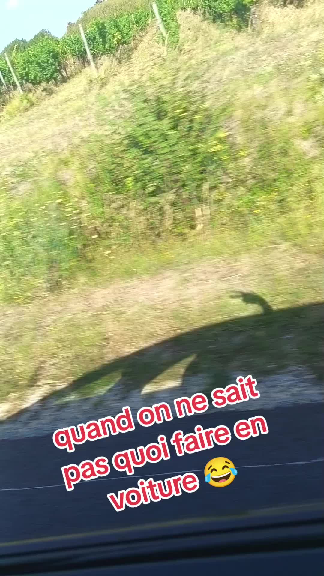 @Caro