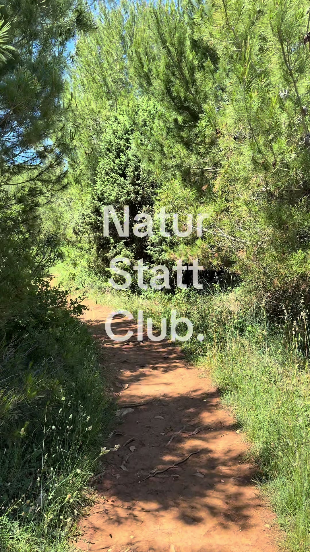 @𝐋𝐞𝐚-𝐞𝐦𝐞𝐥𝐲