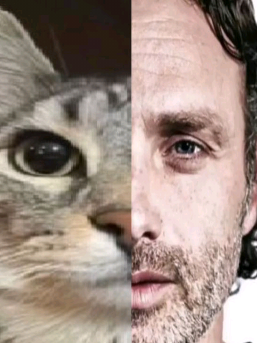 @#1 ꜱʜɪᴍᴀᴅᴀ ɢᴏᴏɴᴇᴛᴛᴇ🐉💦