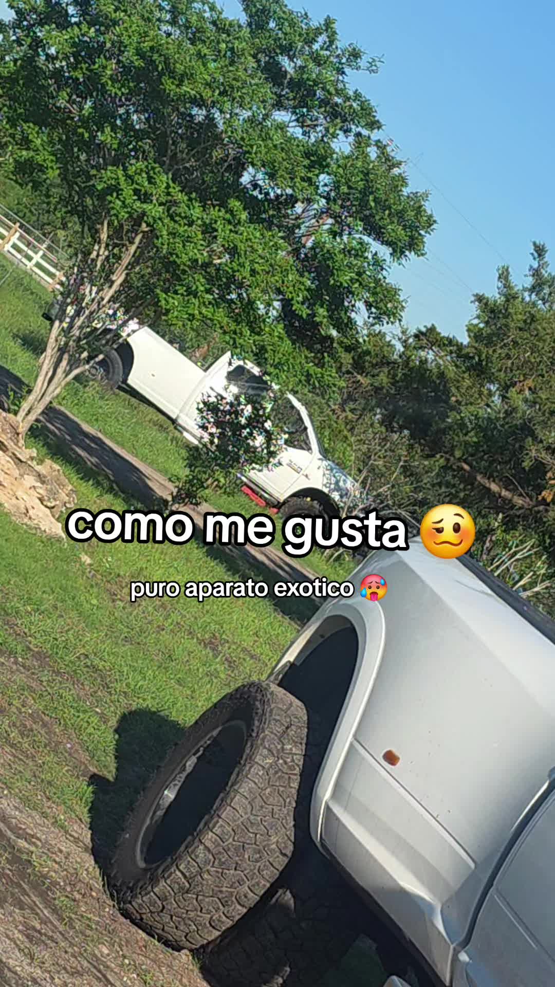 @Nimio Robles