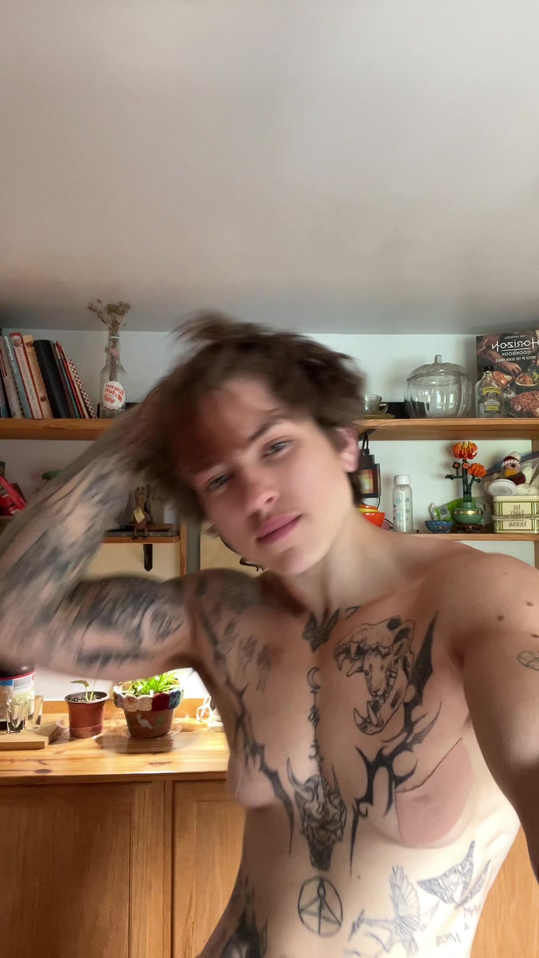 @Kaine Schippa