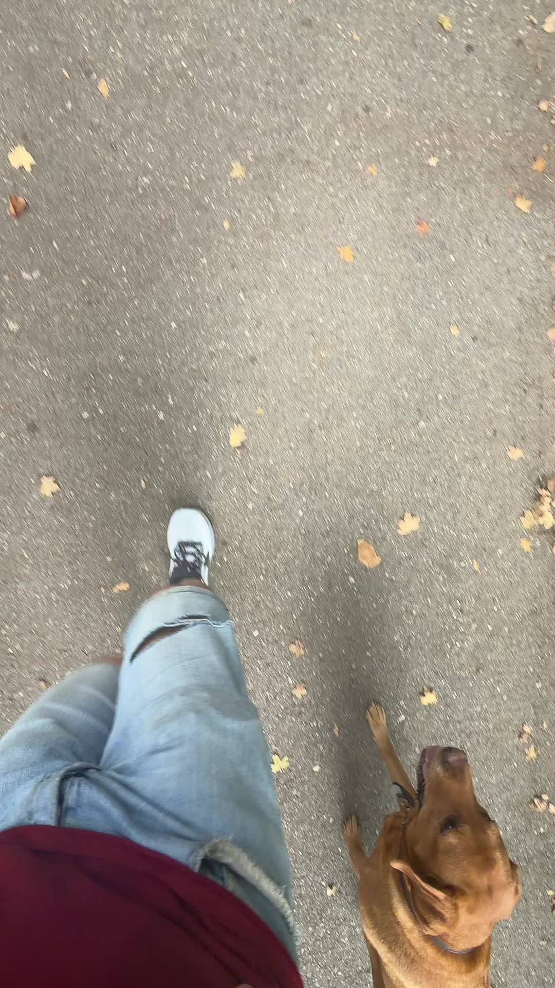 @Emmi