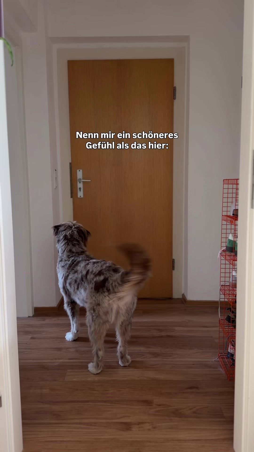 @Laura Herz