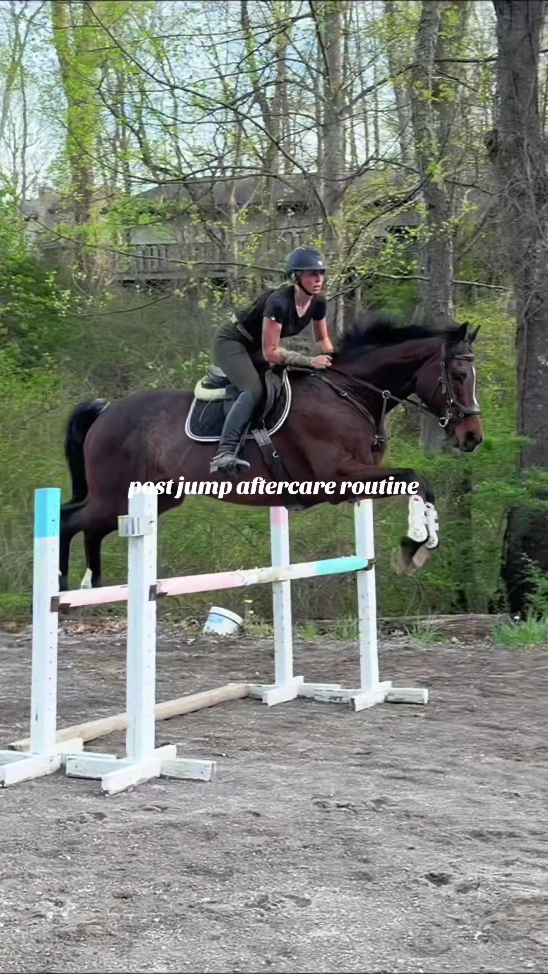 @Lunar Hill Equestrian