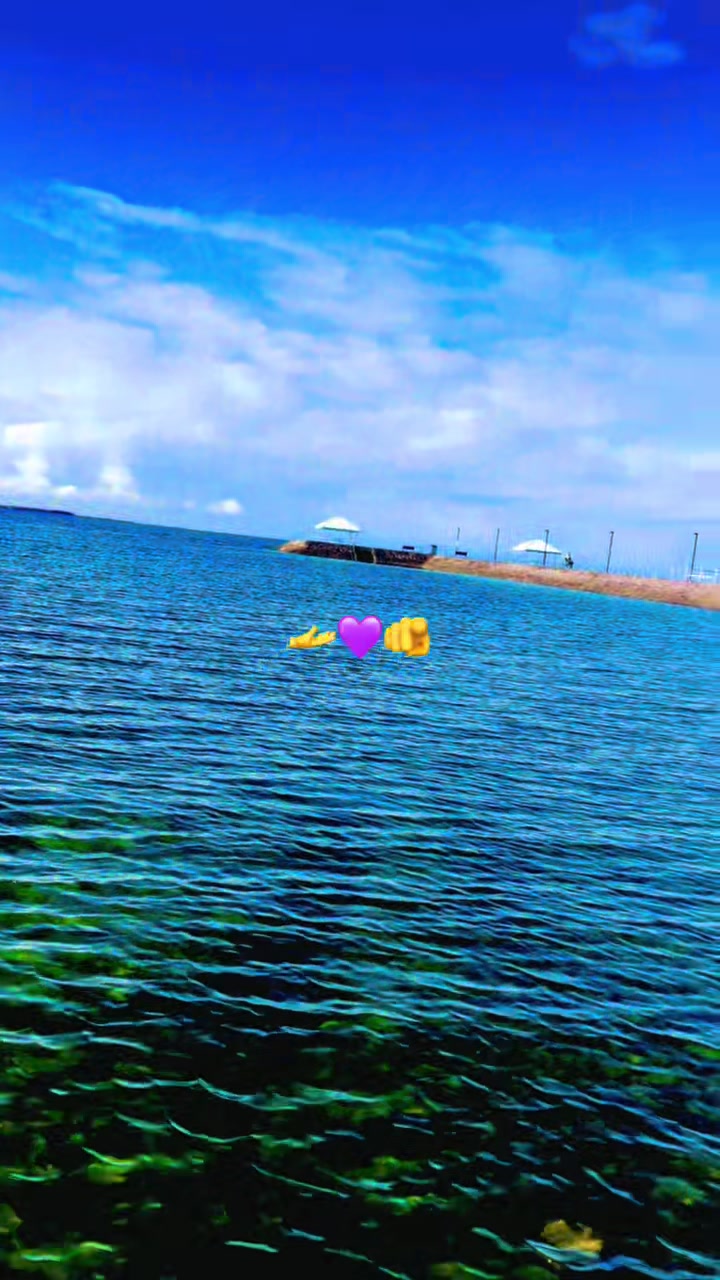 @💜🌹Haniaحانئ🇦🇺🌹💜