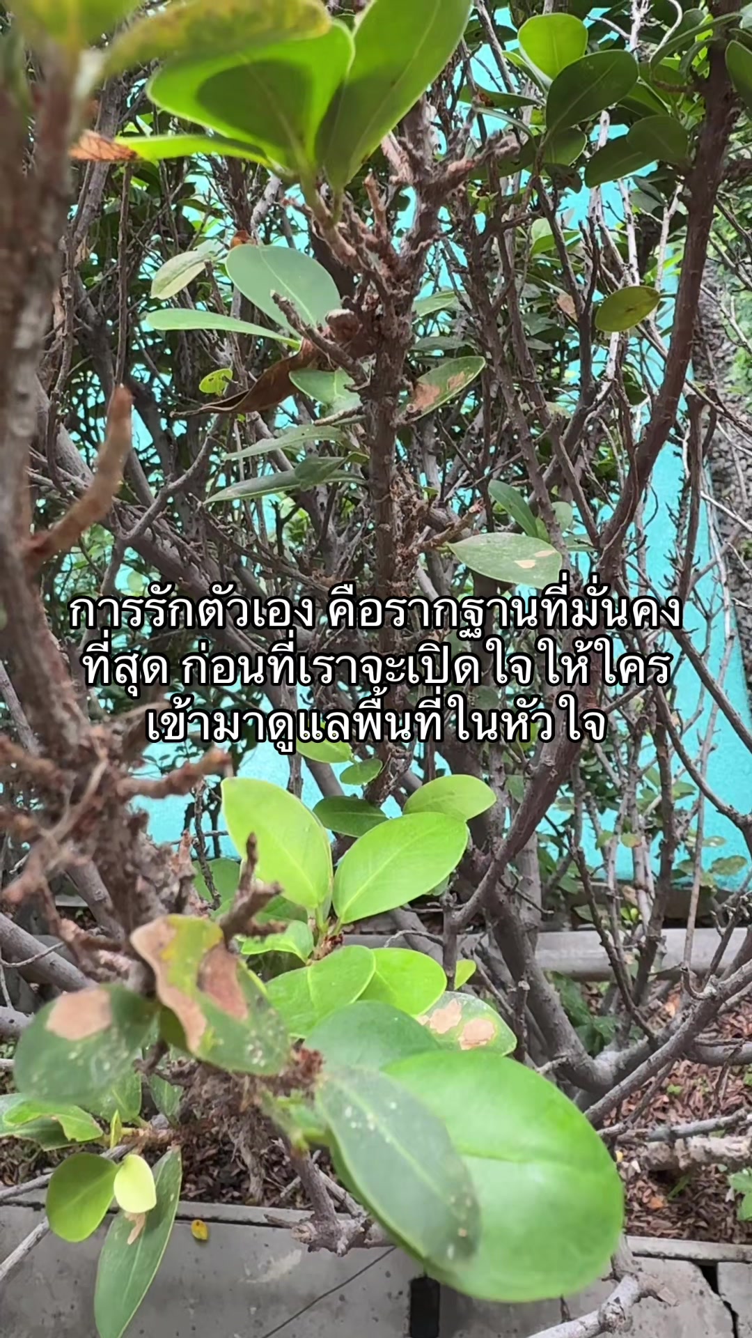 @🫶💚เรื่องของแม่บ้าน💚🫶