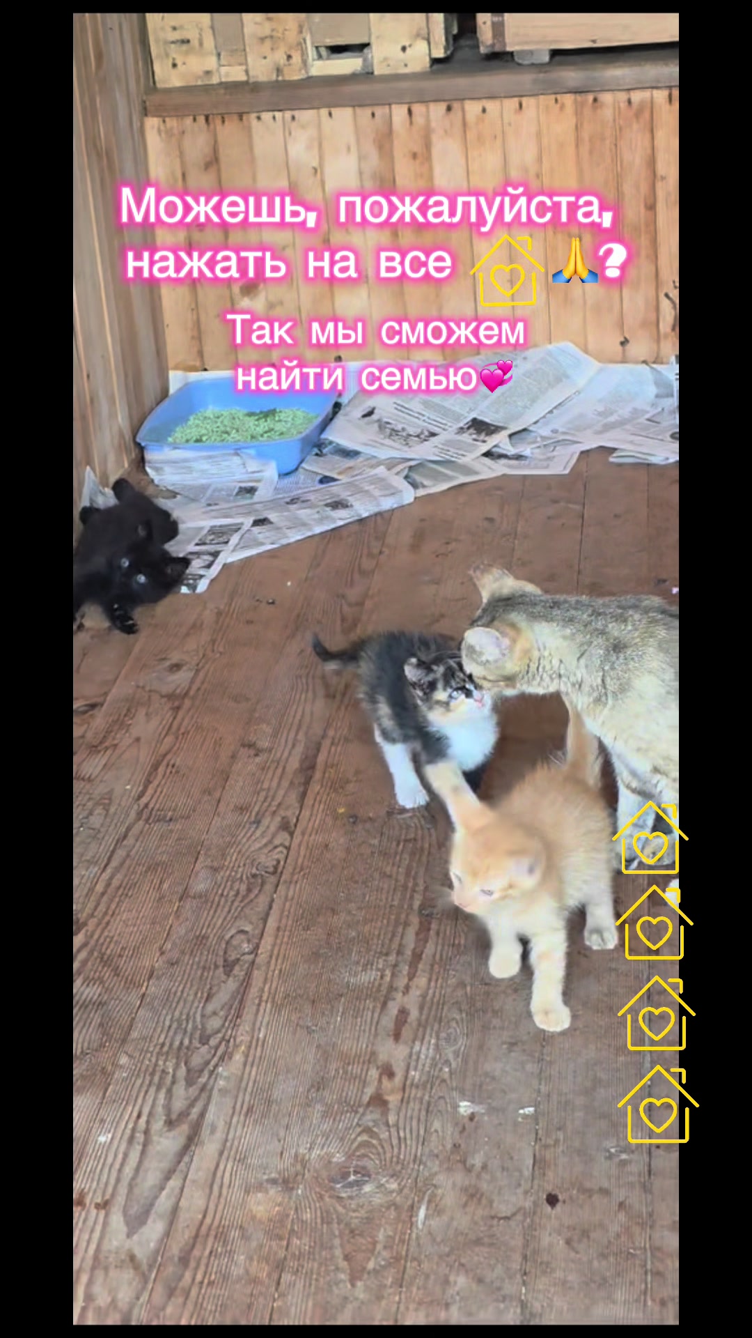 @Оля & Co🐈⬛🐈
