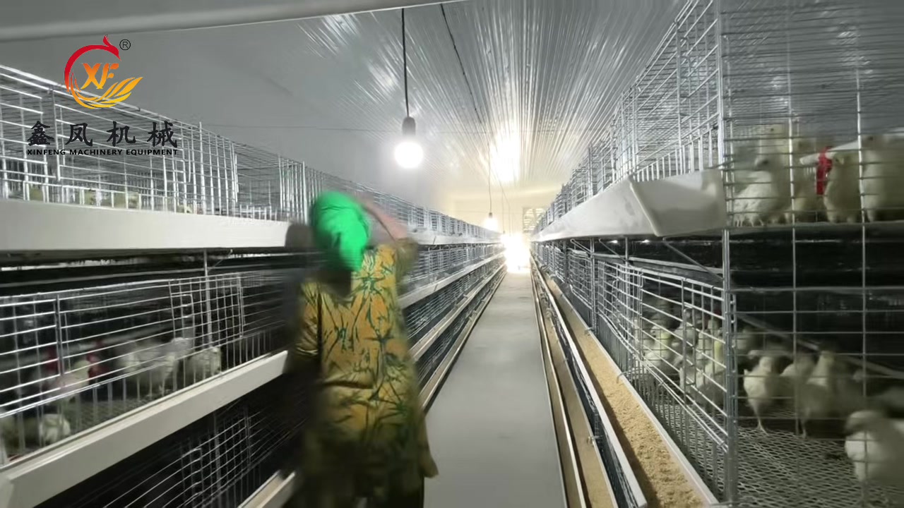@Auto Poultry Cage Manufacturer