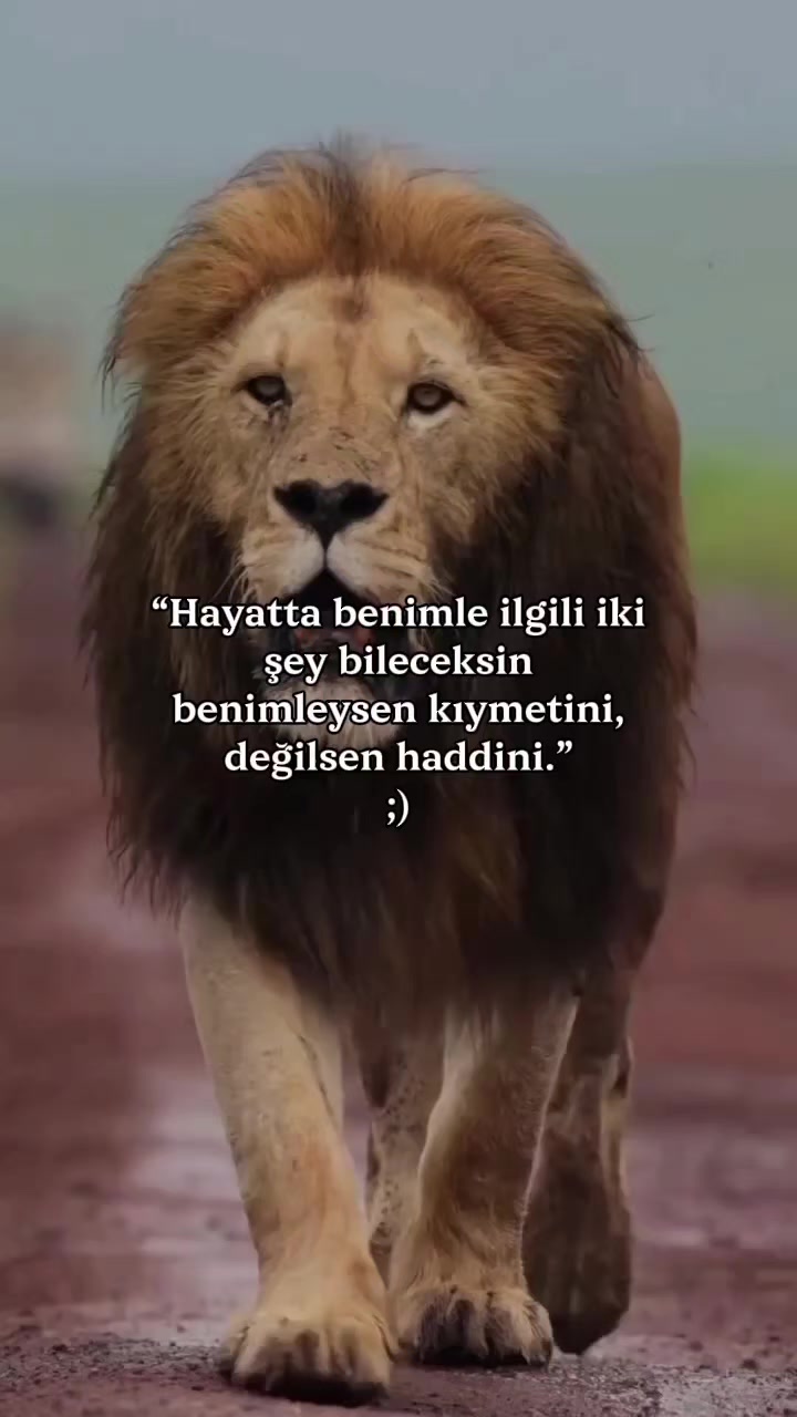 @๐๐๐๐๐ ๐๐๐๐ ๐๐๐๐น๐ท
