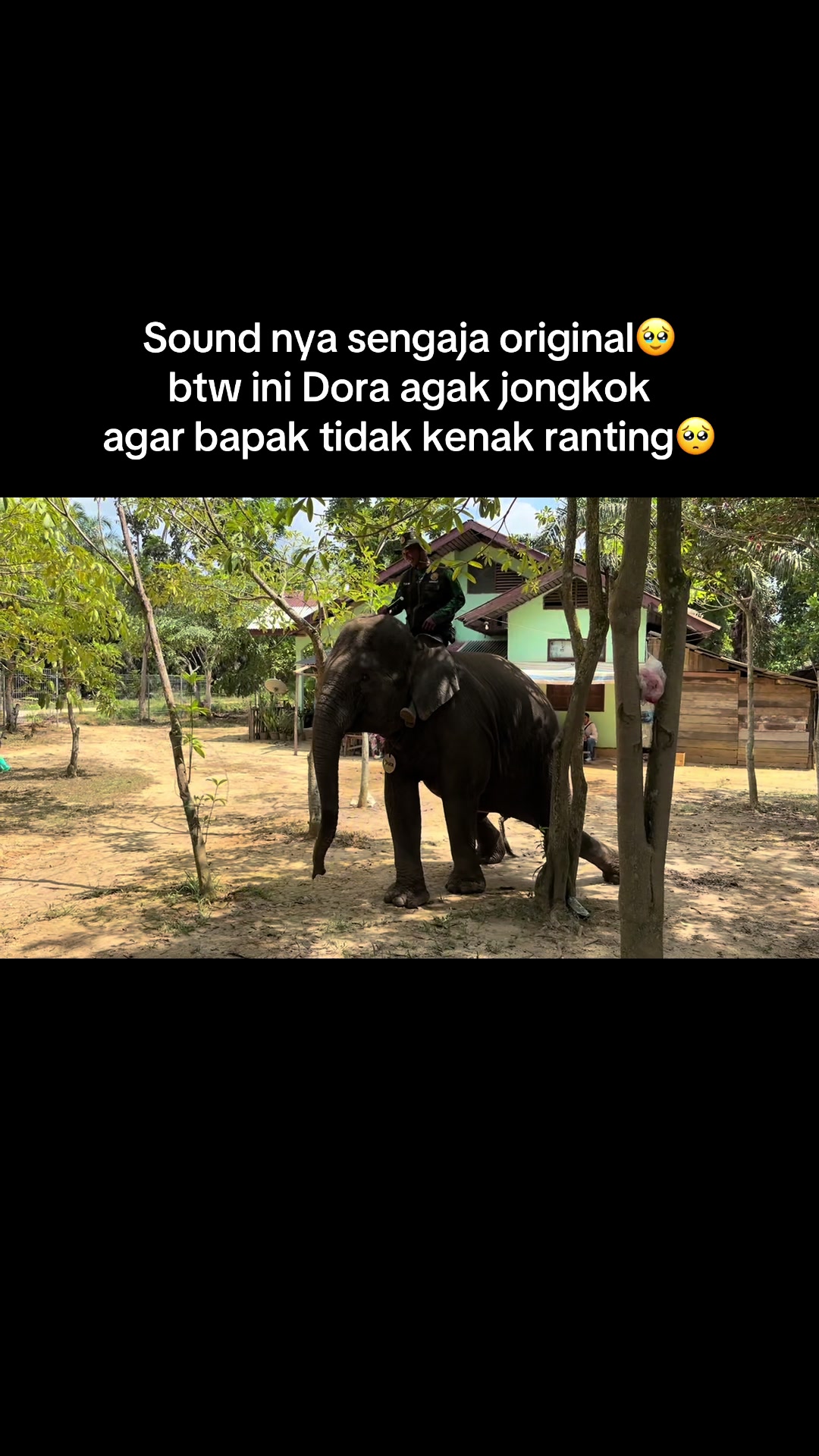 @ridhanrhyti ꫂ❁