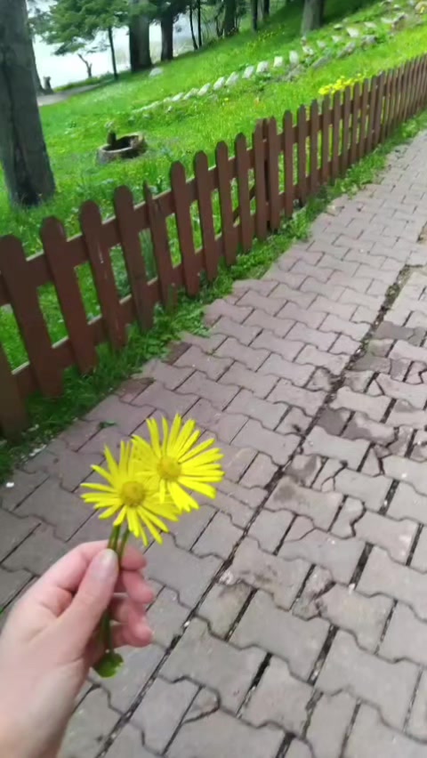 @🕊Z@Z@"🕊"ELAG&Ouml;ZL&Uuml;🕊