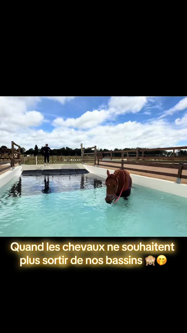 @Centre BienEtre Equin & Canin