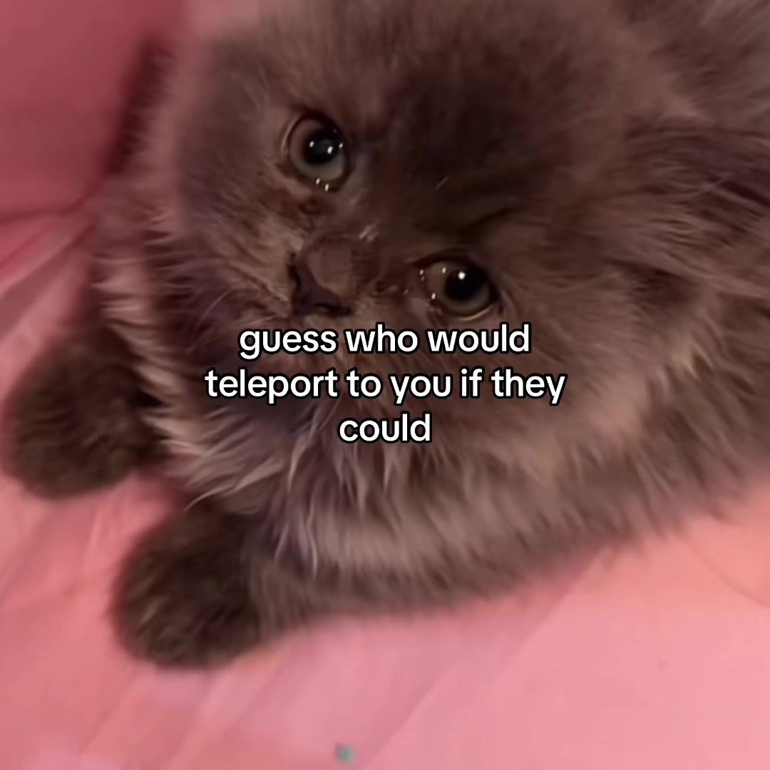 @Alice.cattok