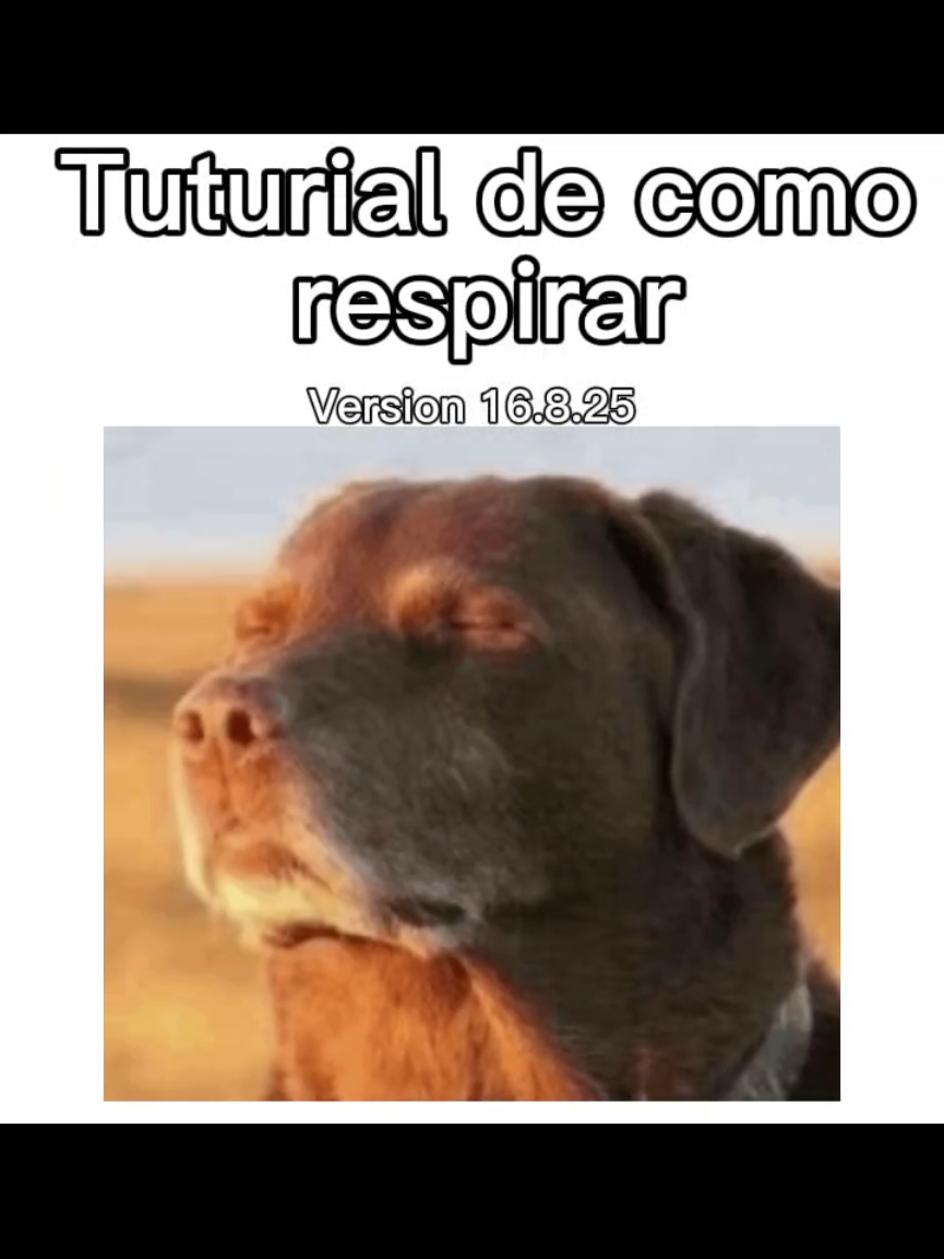 @Luisito