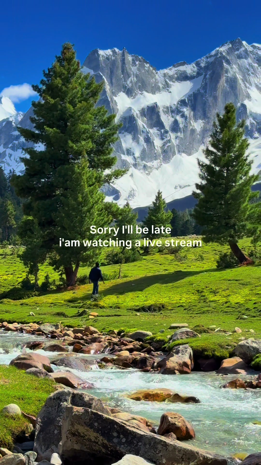 @Tehsin Razi