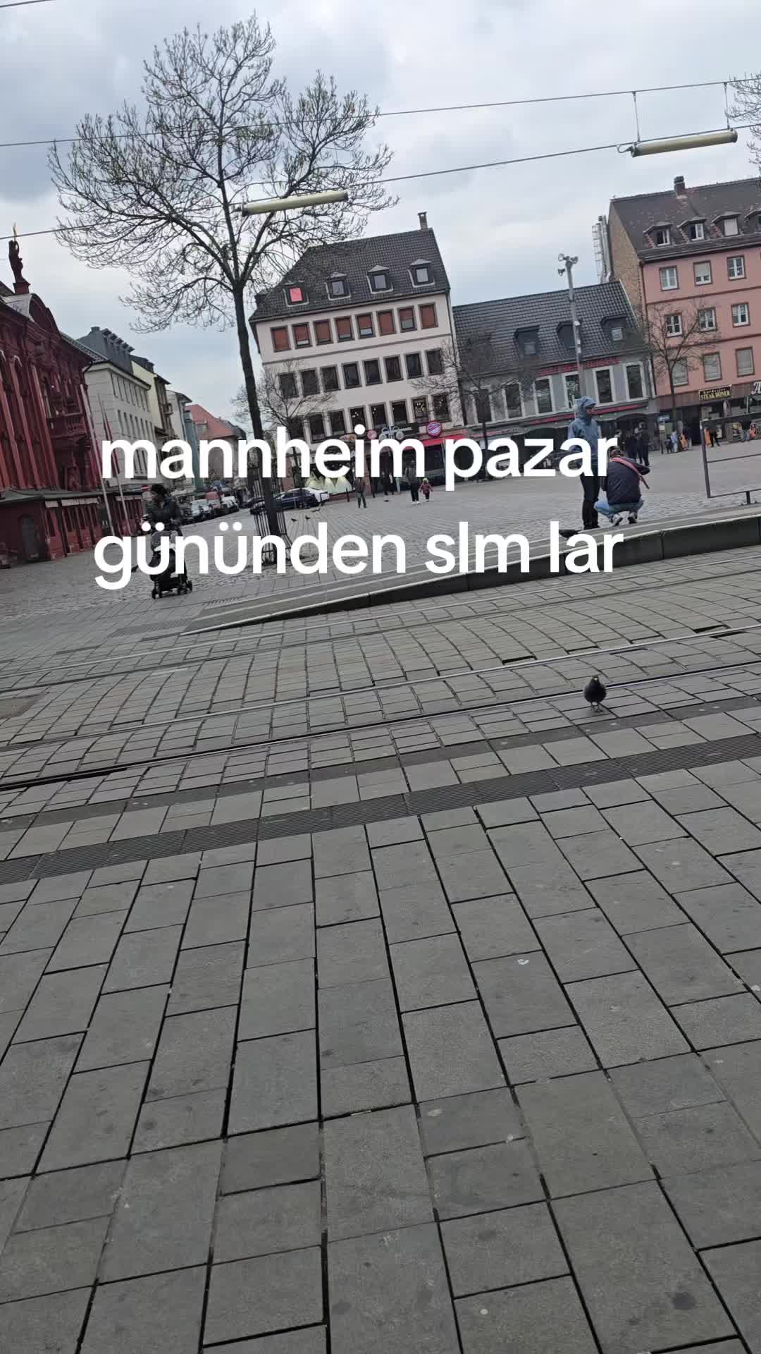 @serife._14