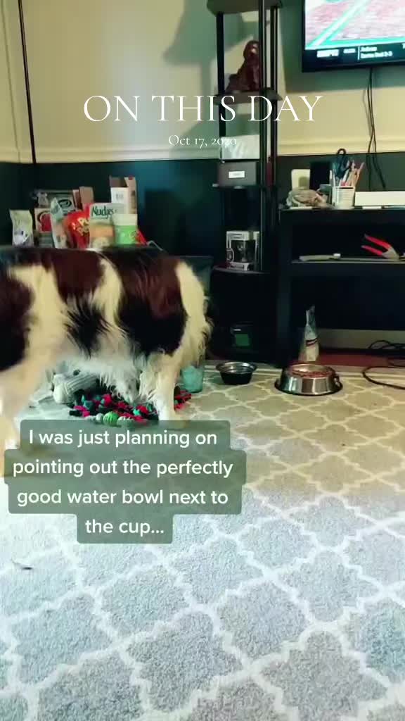 @LifeofLou.ie