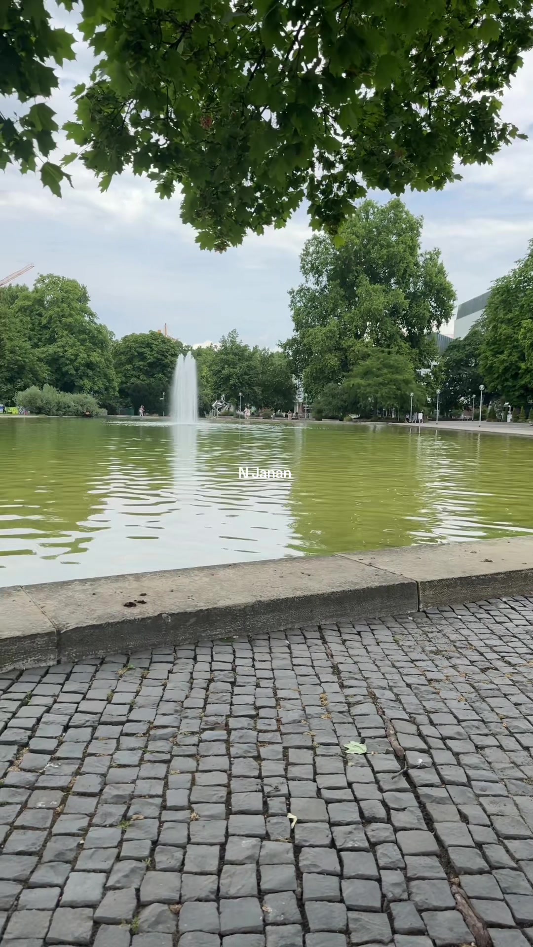 @𝗡 𝗝𝗮𝗻𝗮𝗻❤️