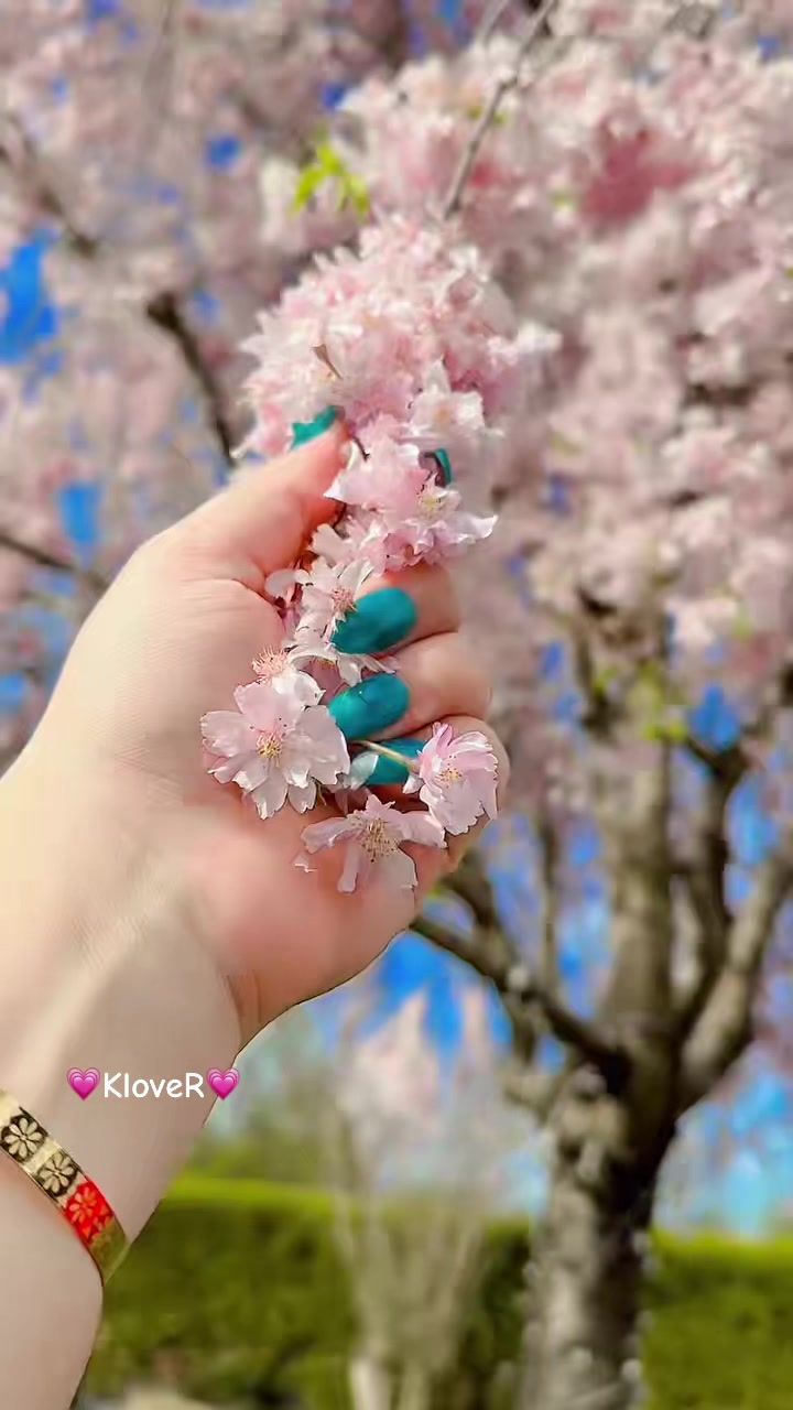 @🖤أنت الحيات🖤