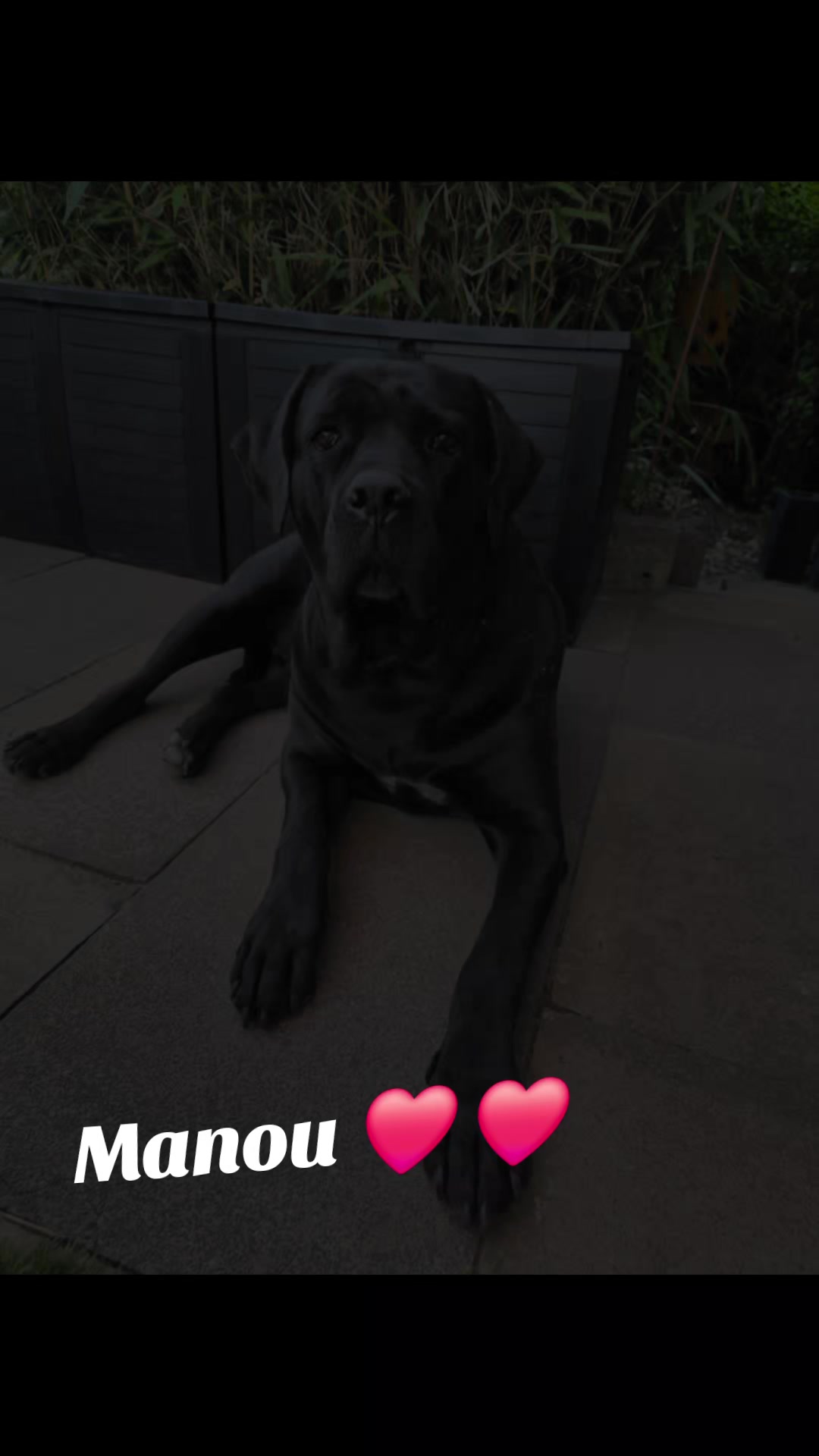 @Primo❤️Manou ❤️Hope ❤️