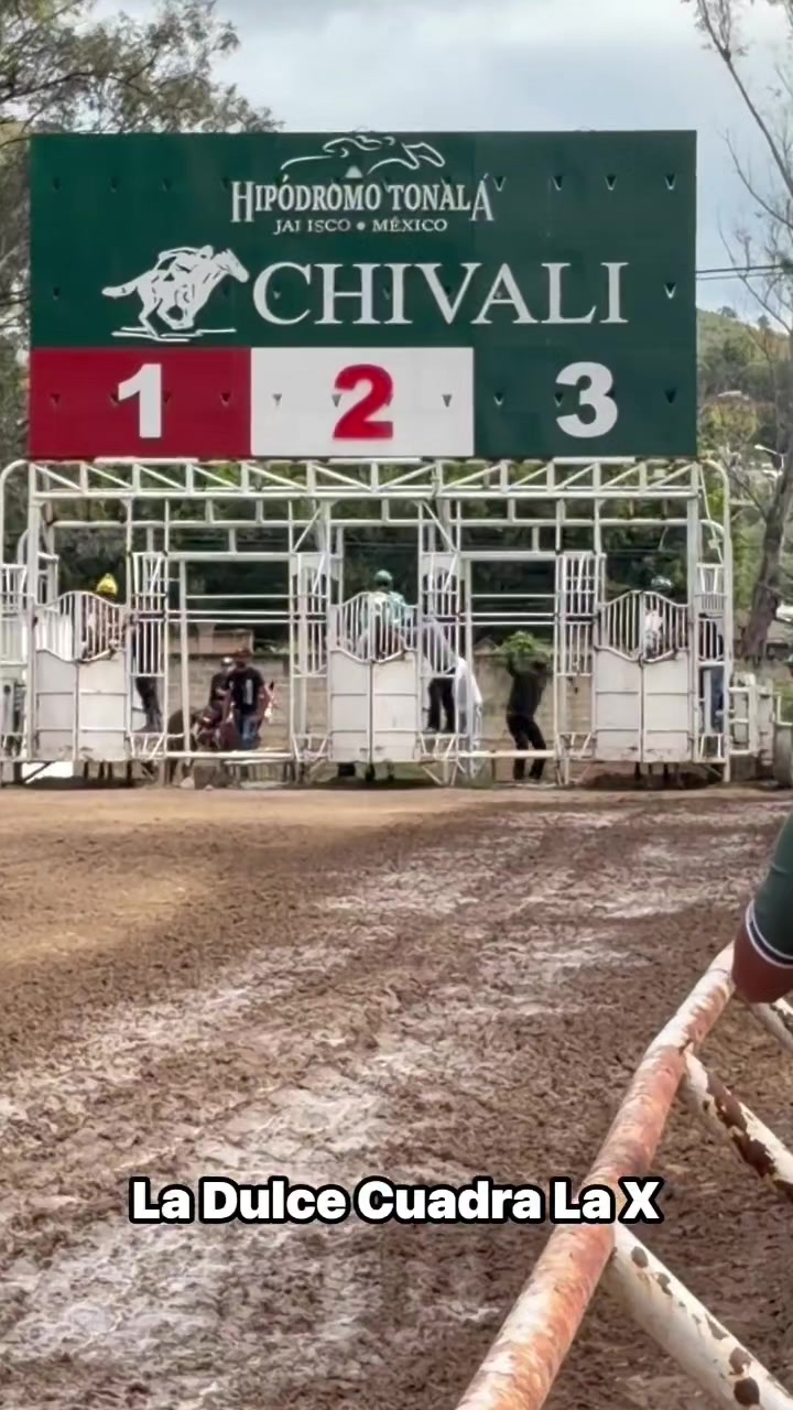 @carriles altos de jalisco🐎