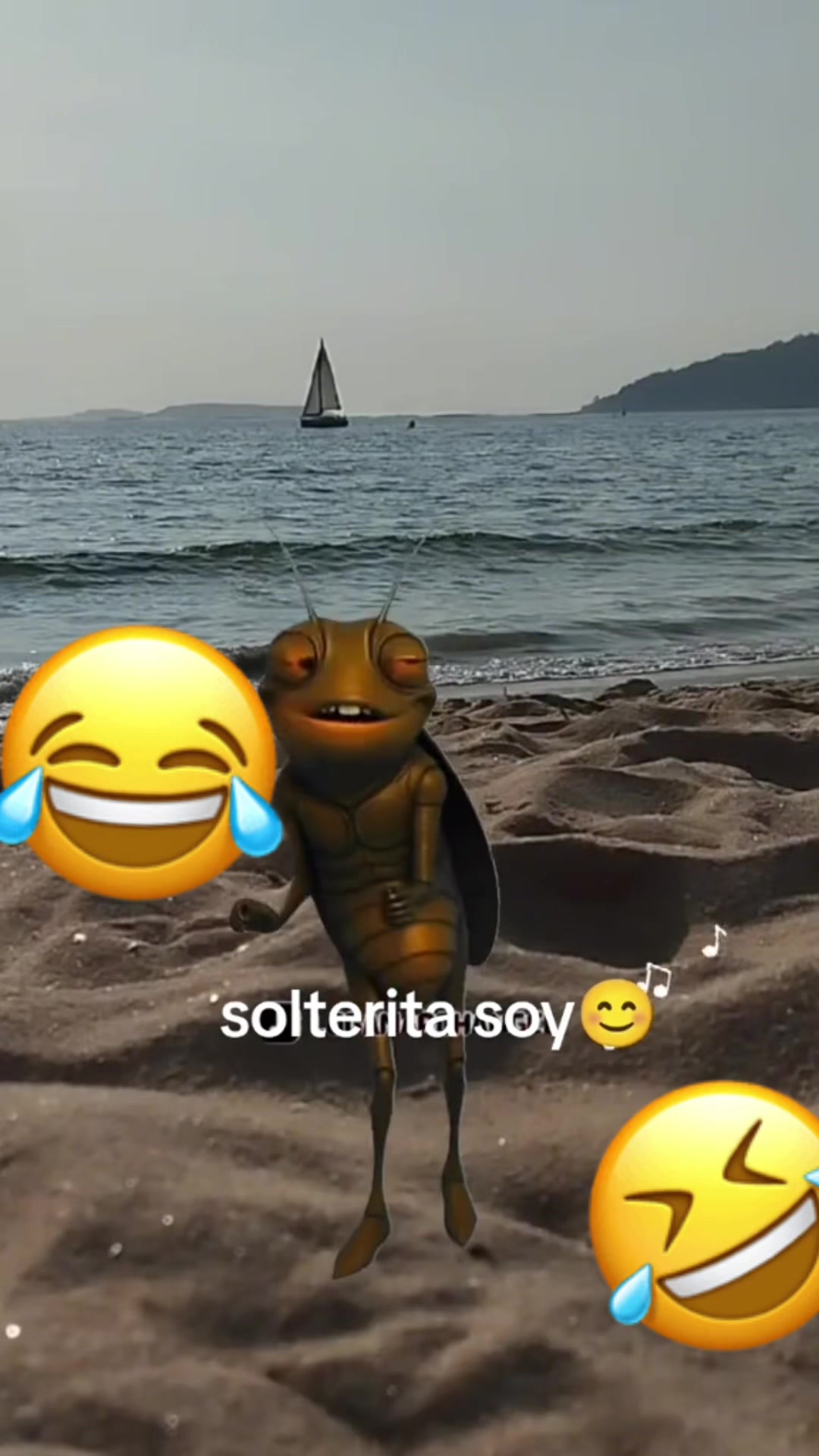 @López 512