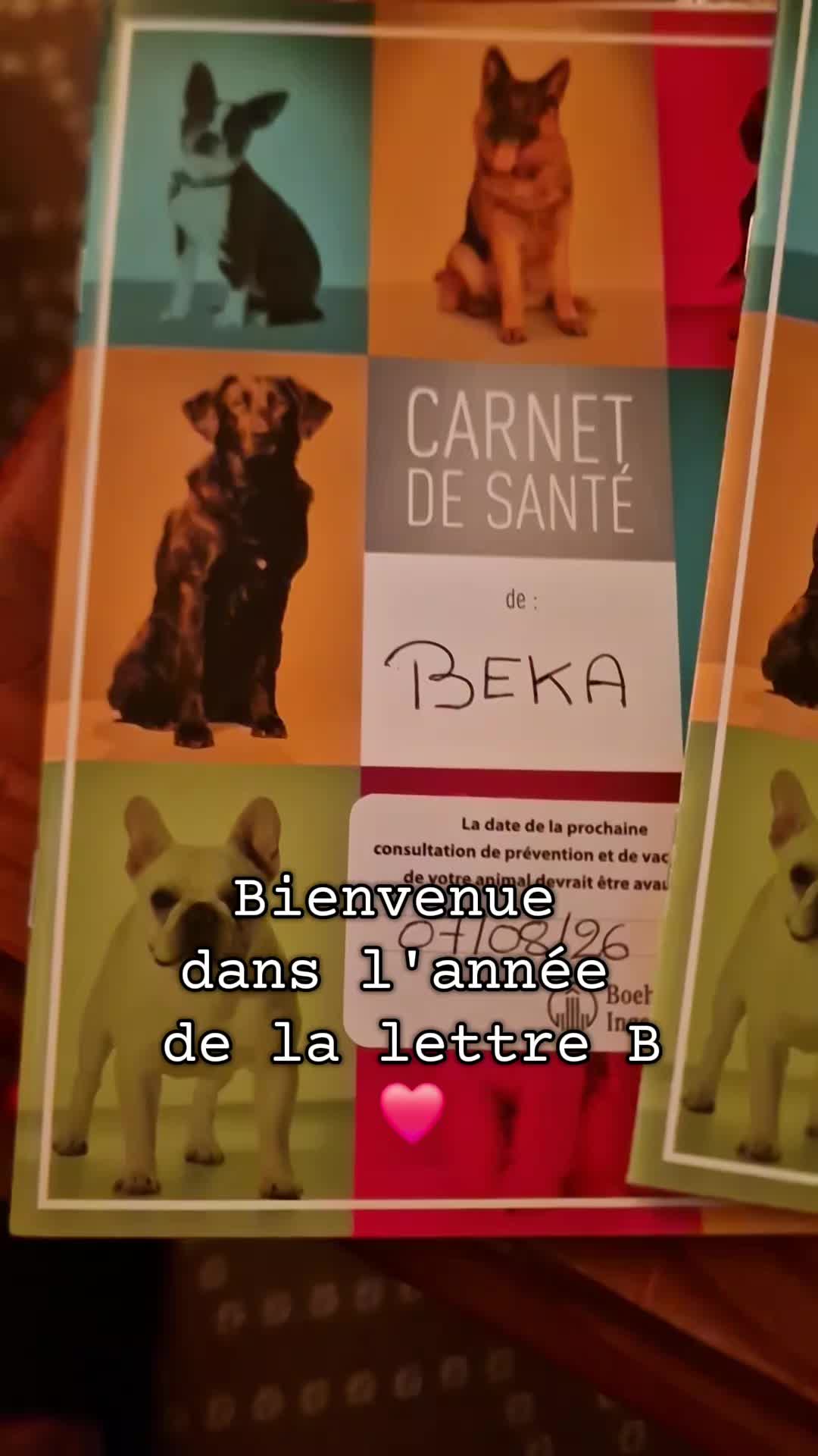 @Laetitia FACHETTi Rottweiler