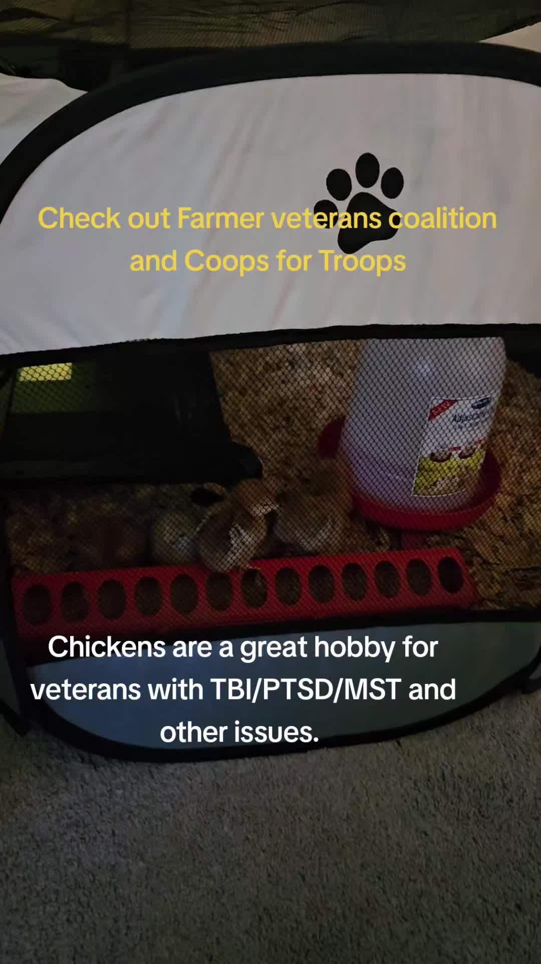 @🦊Towbie_VSO💖🦊FNPWR