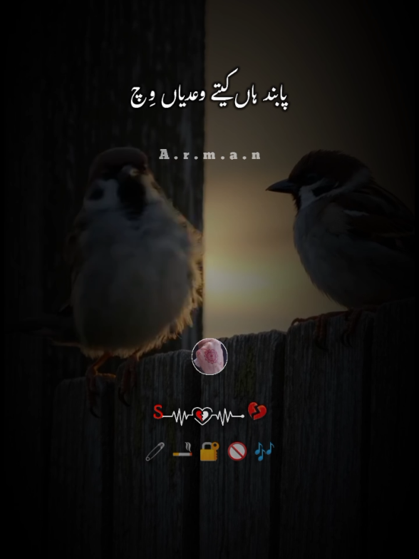 @🎭ارمان🎭