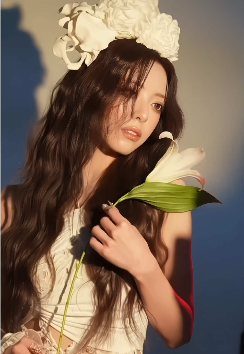 @fancams♡
