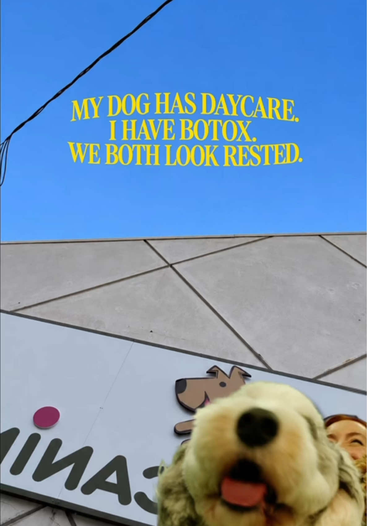 @Camp Canine Toronto