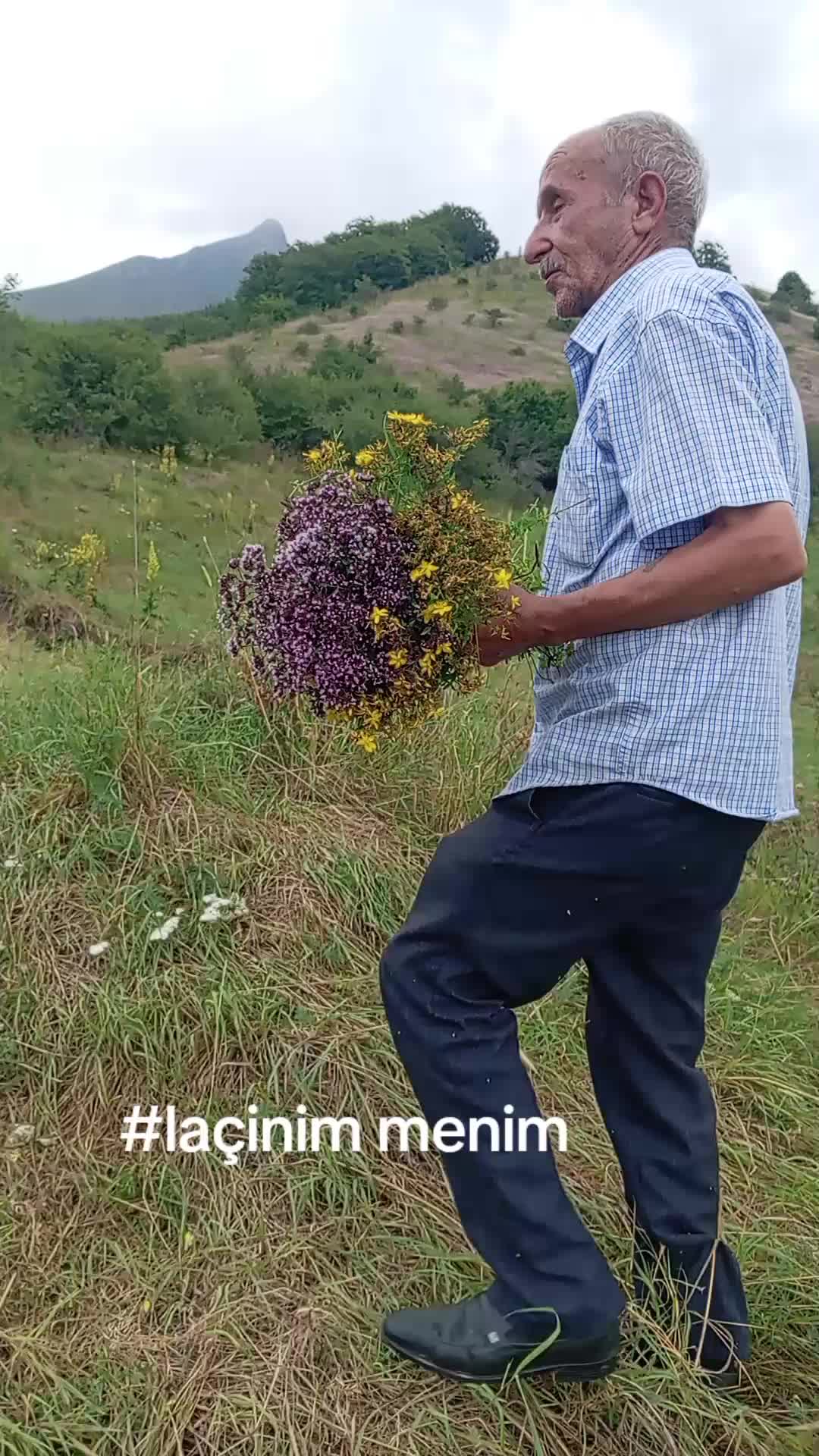 @ZohrabLaçınlı041