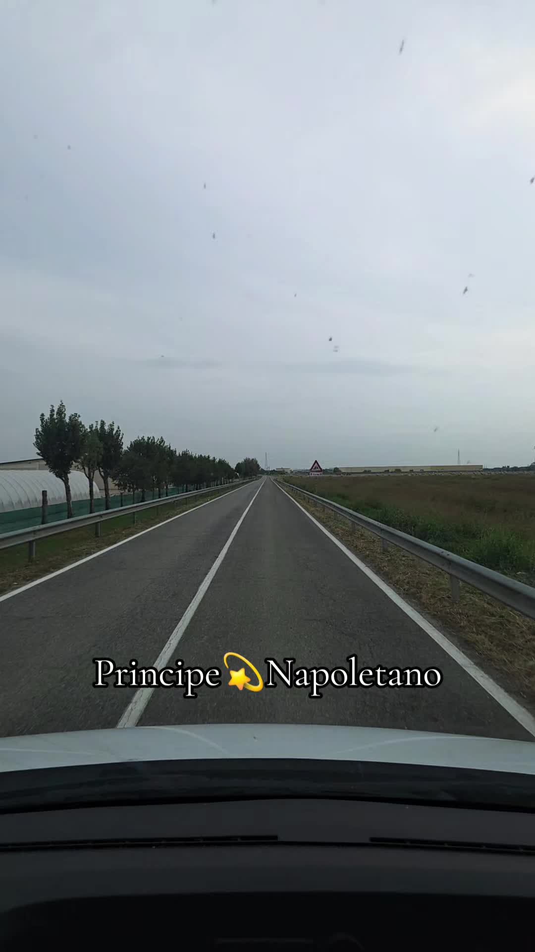 @🌟Principe💫Napoletano🌟