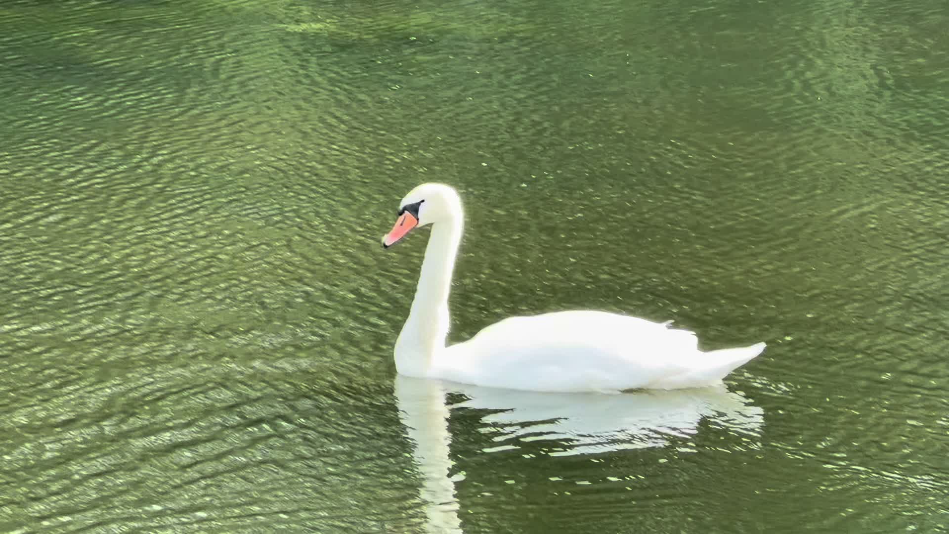 @ྀིྀི𝐝𝐚𝐢𝐬𝐲⋆.