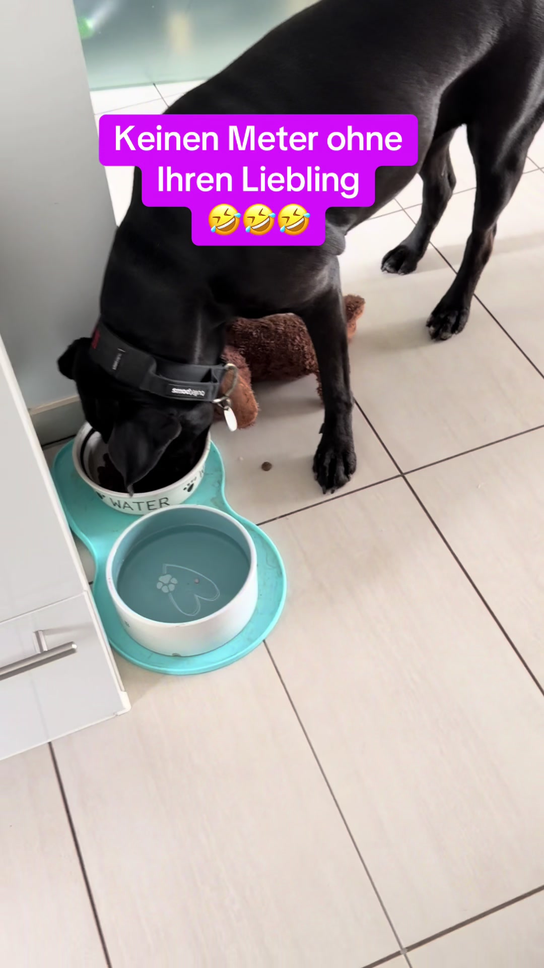 @Braunici