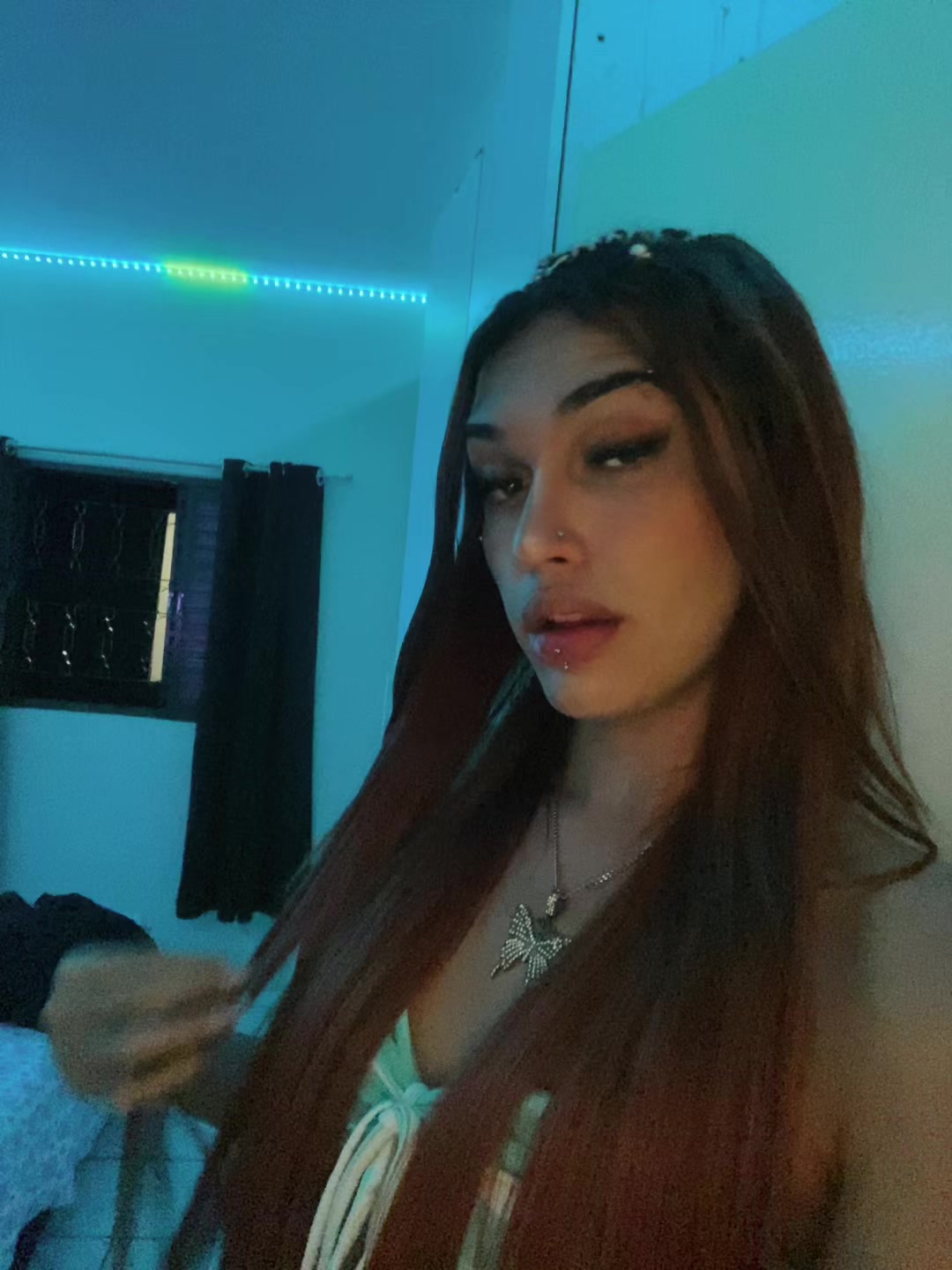 @mihh.xts