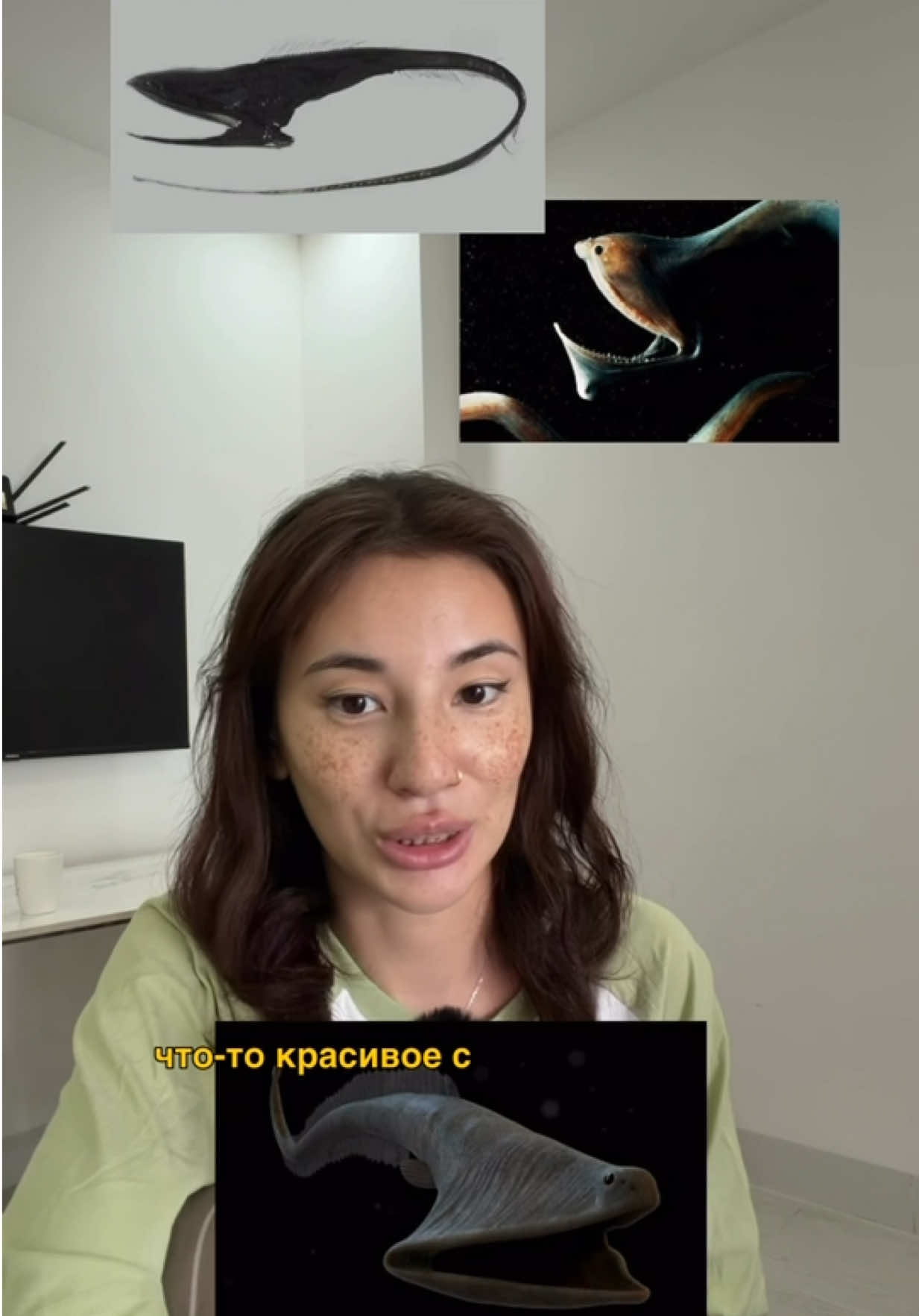 @тгк кружок всратых интересов