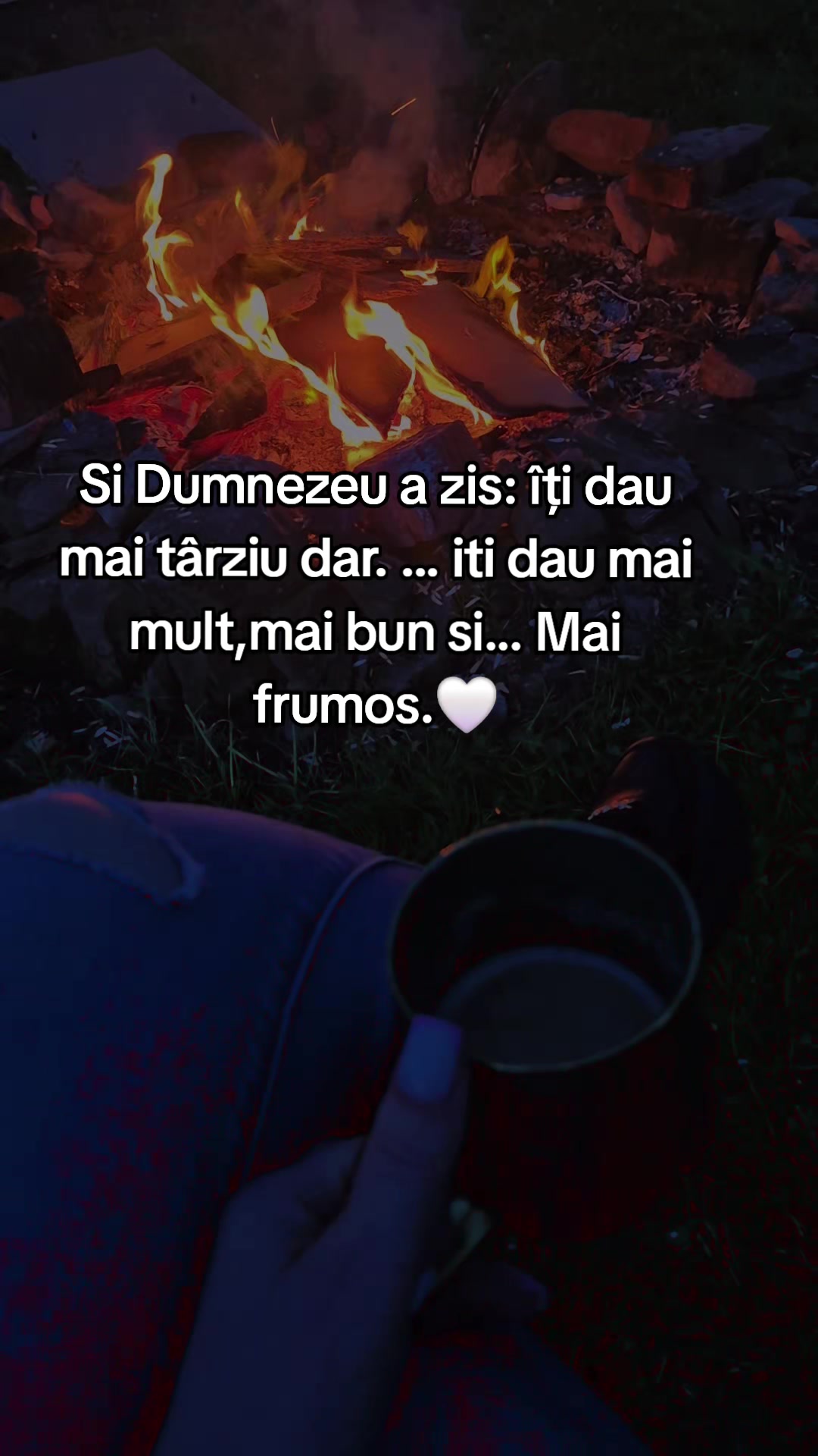 @Ellena 🩷💚