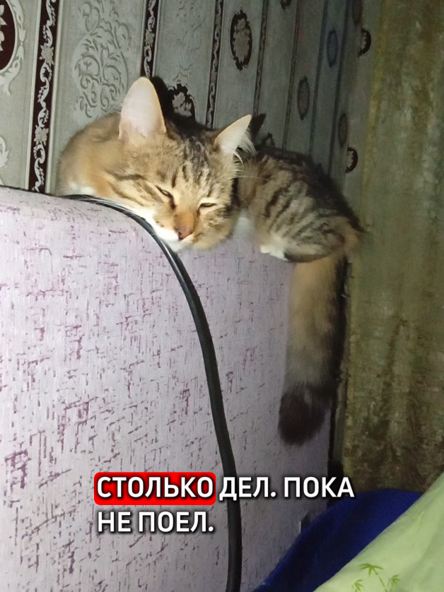 @ИРИНА