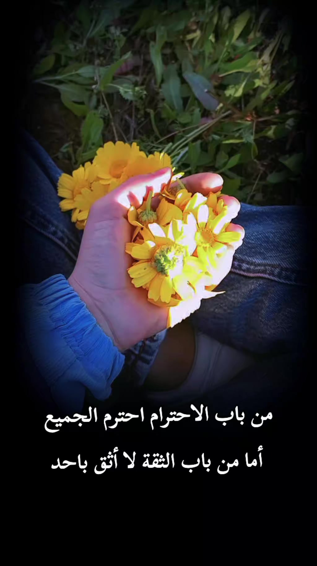@𝒜𝒾𝒹𝒶