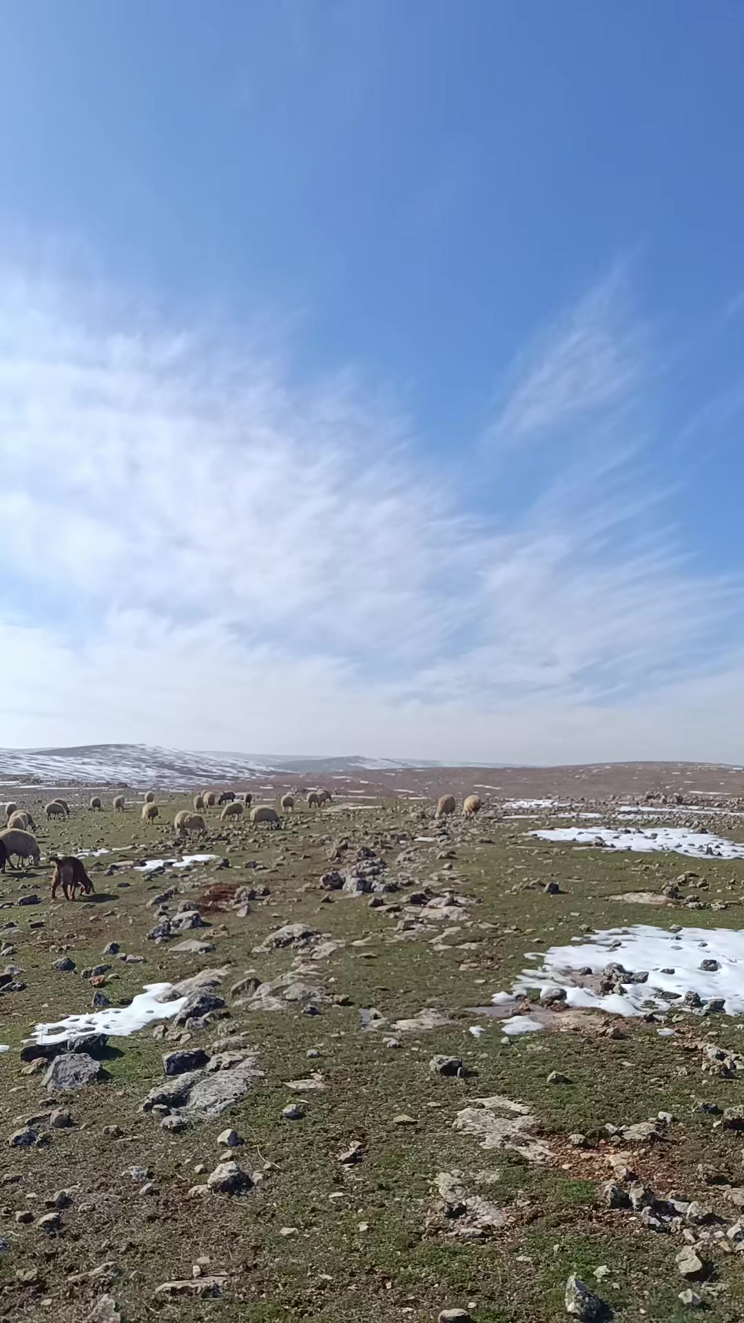@Erdem akyavuz 2