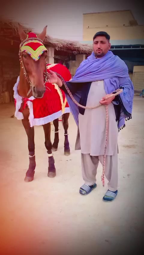 @Ahsan khan 123