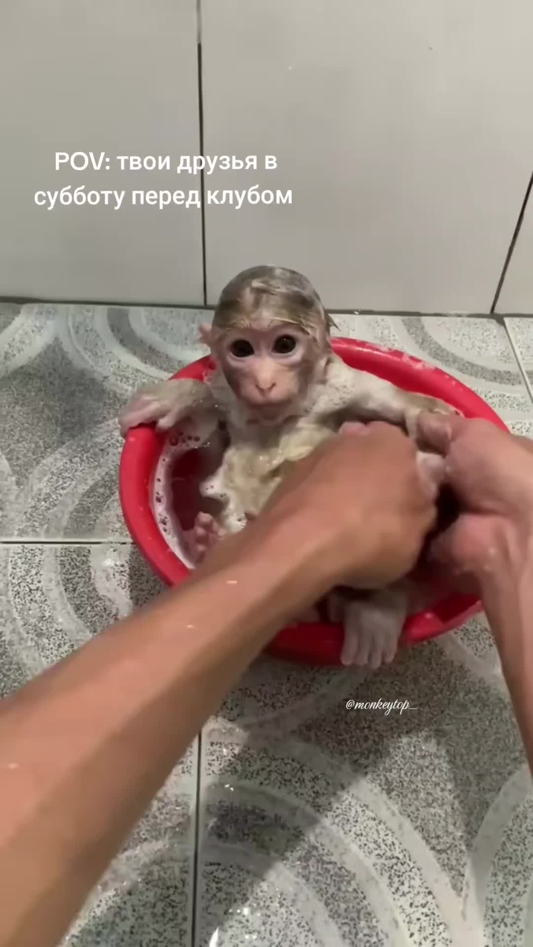 @promoting.babies