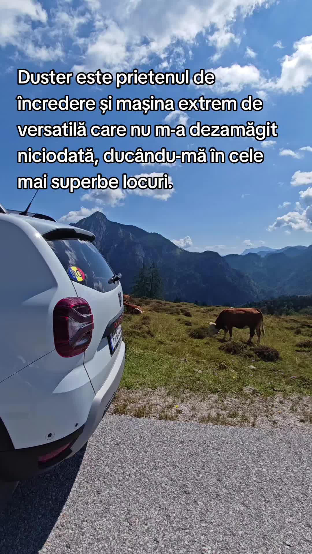 @ionuthabuc_duster_fan