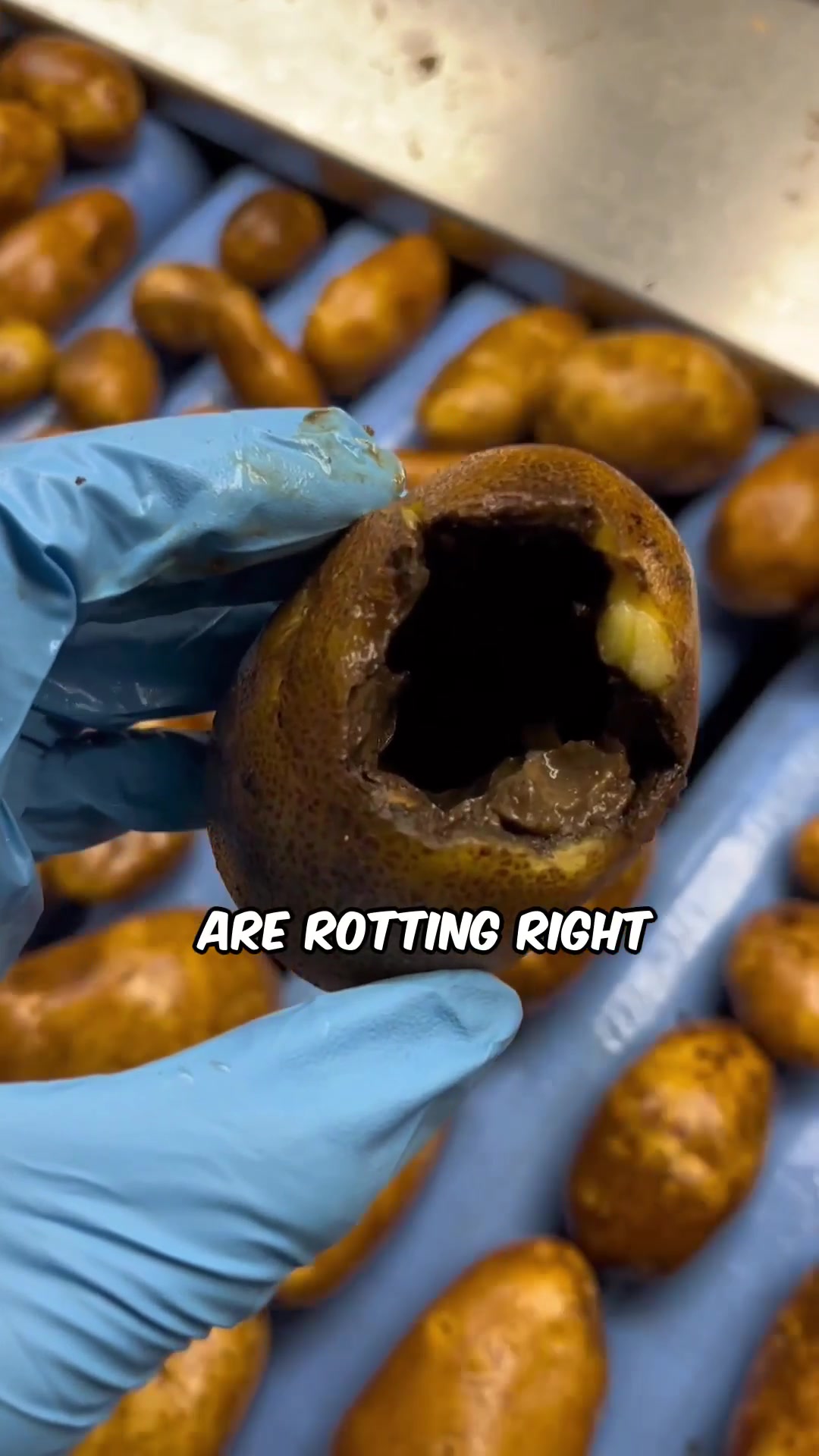 @Potato Ty