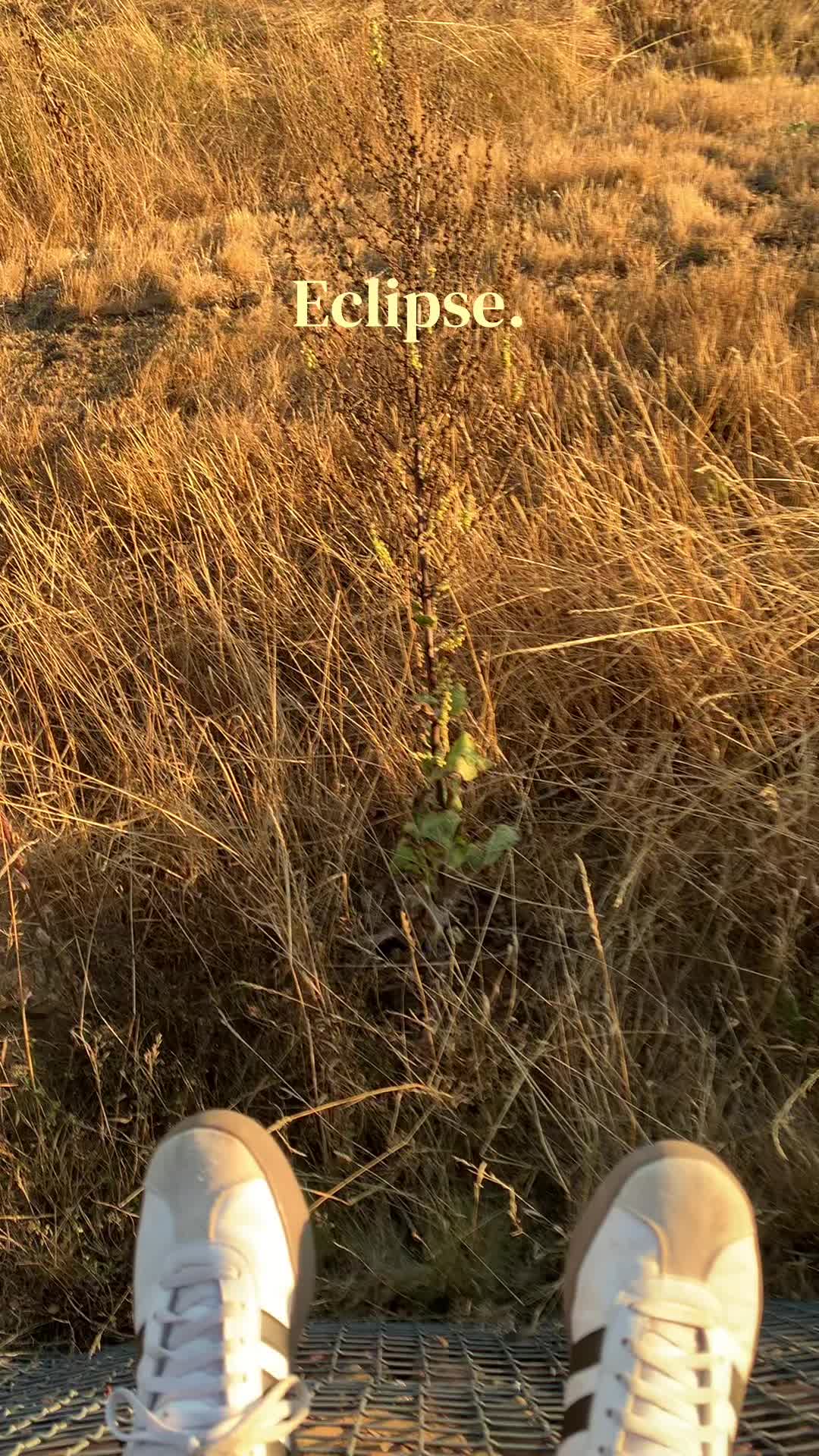 @ᛕꪀ꠸ᠻꫀ